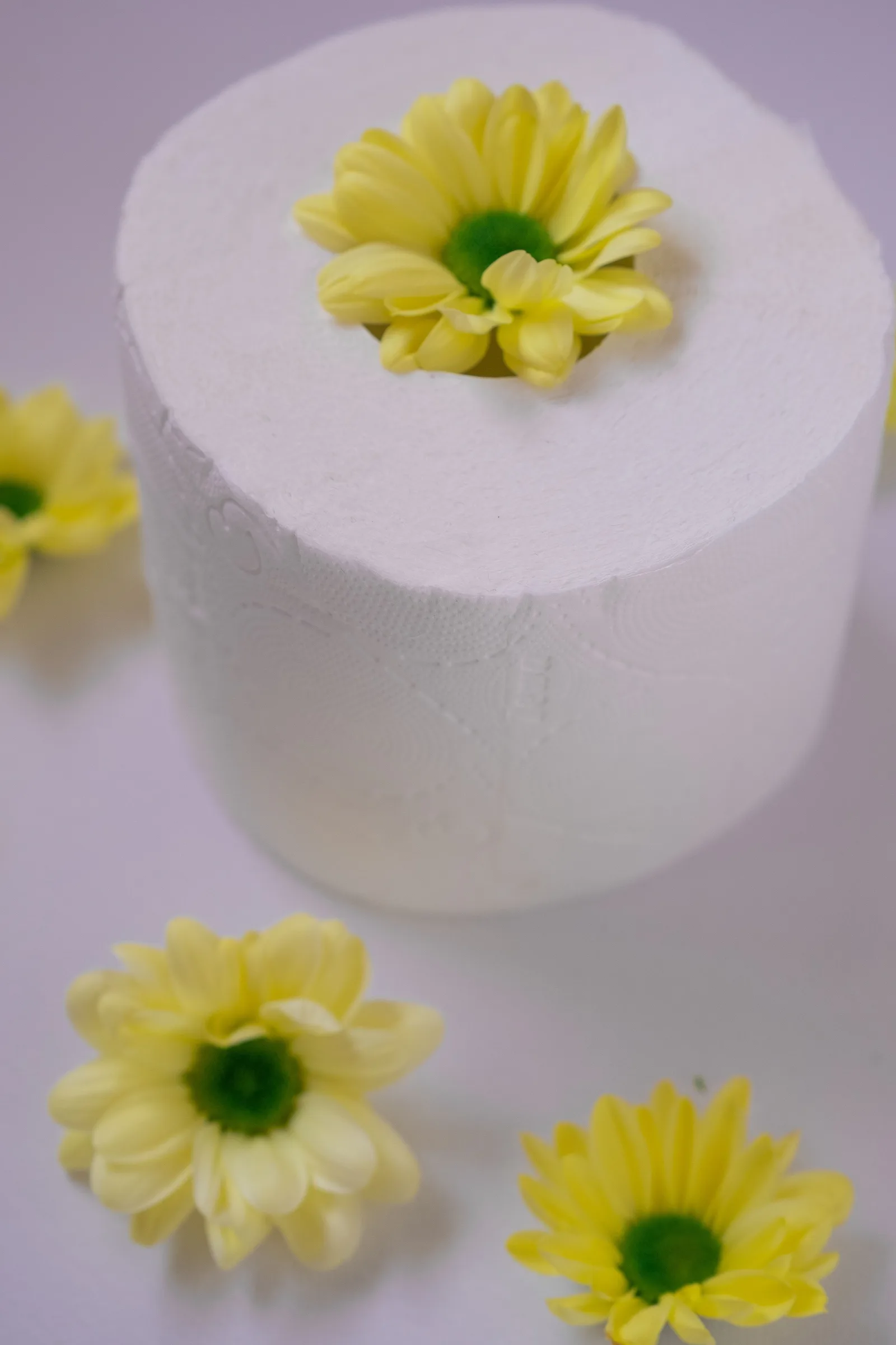 A roll of toilet paper decorated with fresh daisies.