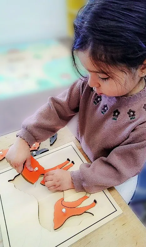 A toddler working with a wooden animal puzzle at ACE Montessori.